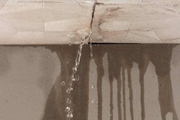 Professional Structural Drying technician working in Tiro, OH
